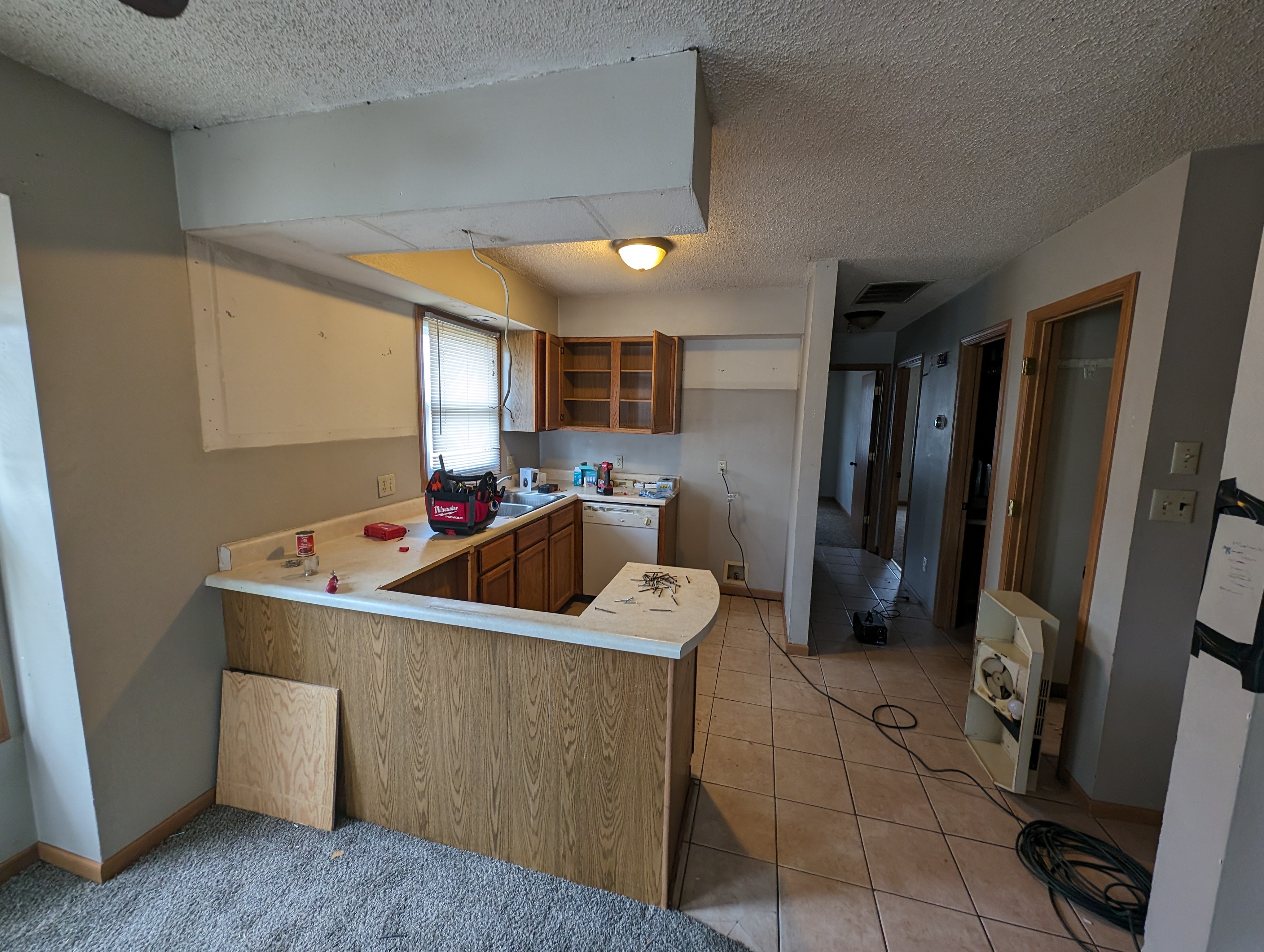 Kitchen before renovation